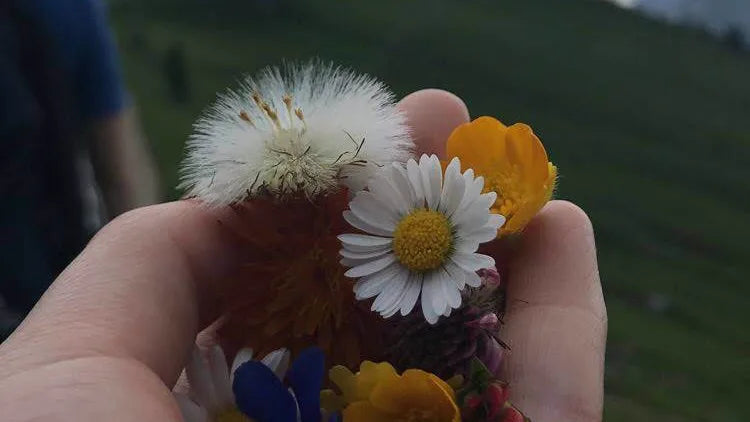Can homeopathy solve period problems?