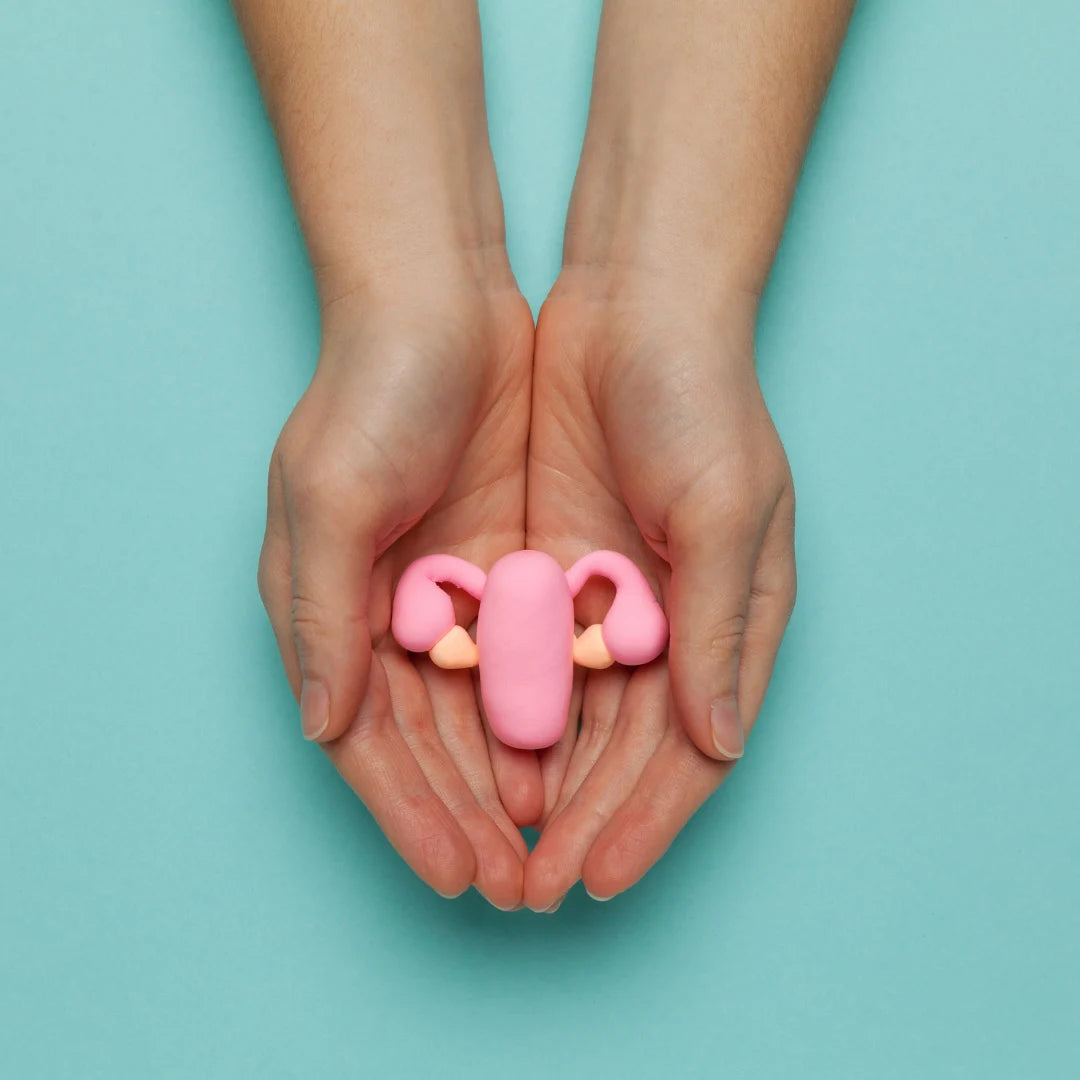Visually, how does menstruation work in the uterus?