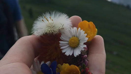 Can homeopathy solve period problems?